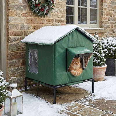 abri extérieur pour chat piloty vert sous la neige