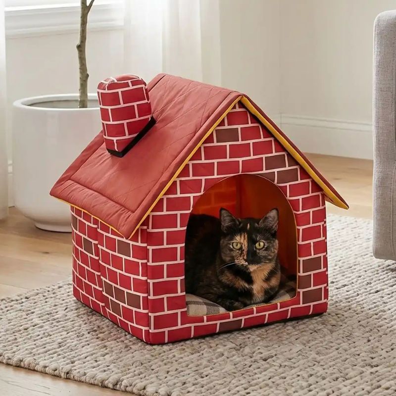 abri pour chat brikou avec un chat