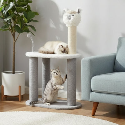 arbre a chat alpagar chat dort en haut