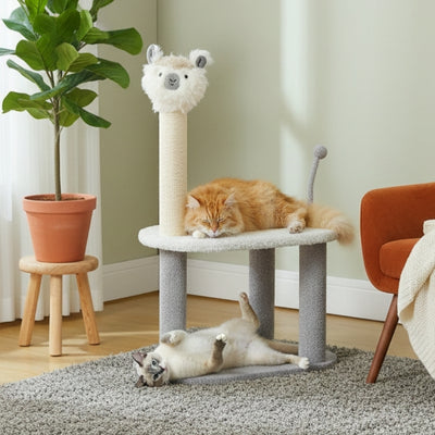arbre a chat alpagar deux chats dorment