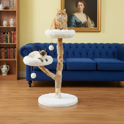 arbre-à-chat-bois-holiver-avec-deux-chats-dans-salon