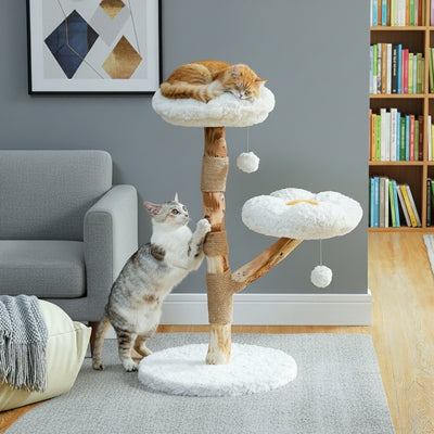 arbre-à-chat-bois-holiver-avec-deux-chats