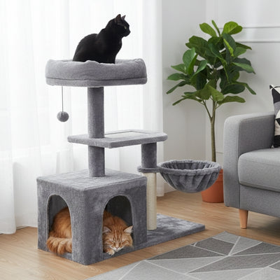 arbre a chat cylber deux chats regardent