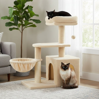 arbre a chat cylber deux chats surveillent