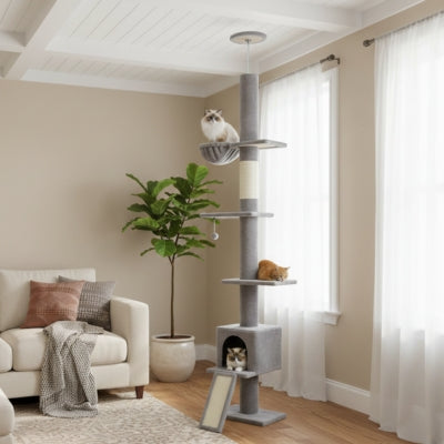 arbre à chat falios avec chats qui surveillent