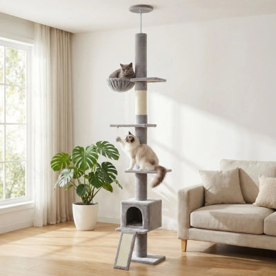 arbre à chat falios avec chats variante gris clair