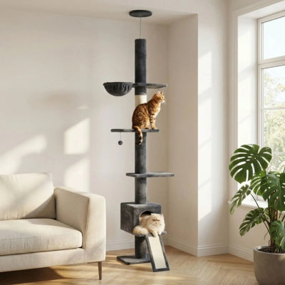 arbre à chat falios avec deux chats