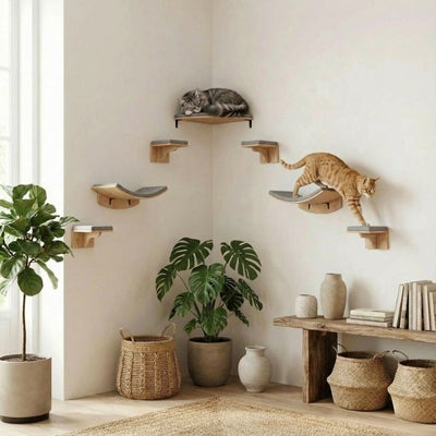 arbre a chat mural muralor parcours odyssee