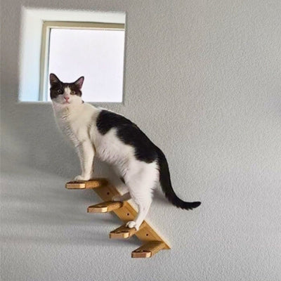 arbre a chat mural parkkour l escalier gauche