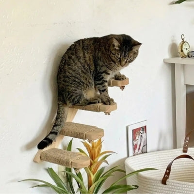 arbre a chat mural parkkour l escalier