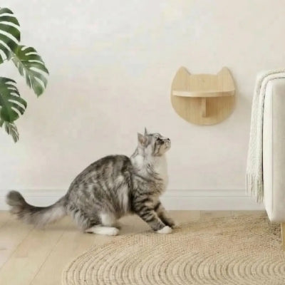 arbre a chat mural parkkour la plateforme tete de chat