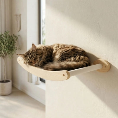 arbre a chat mural parkkour le hamac