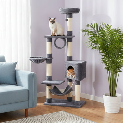 arbre à chat piloma avec deux chats qui veillent