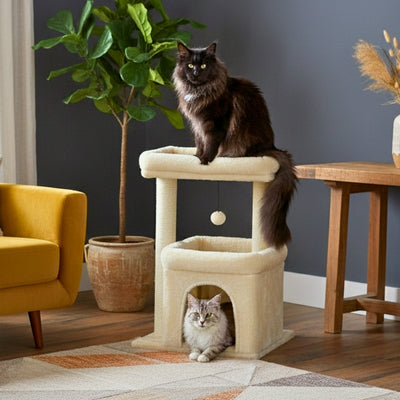 arbre-à-chat-pour-maine-coon-motaf-variante-beige