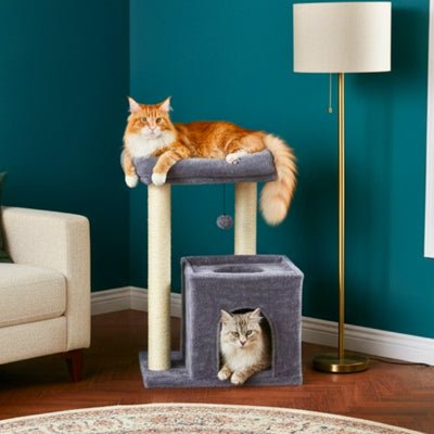 arbre à chat pour maine coon motaf variante gris avec chats maine coon