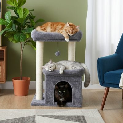 arbre à chat pour maine coon motaf variante gris avec chats