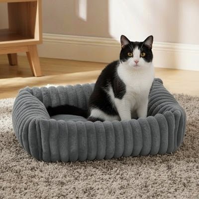 COUSSIN CHAT | SUSHY™