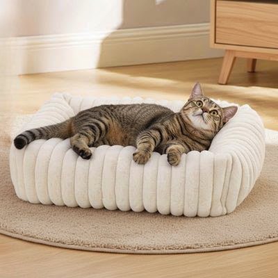 COUSSIN CHAT | SUSHY™