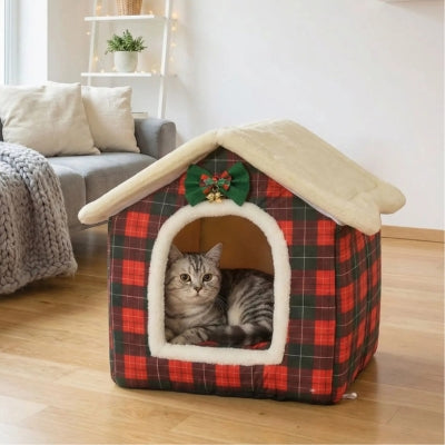 cabane a chat helicha écossais avec chat