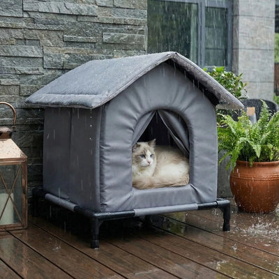 cabane chat extérieur cachix sous la pluie