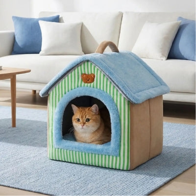 cabane chat novoria avec chat qui veille