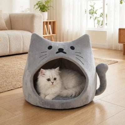 cabane chaton mioulor gris