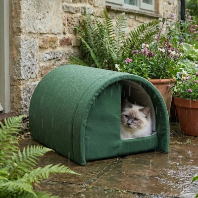 cabane extérieure pour chat demilu couleur vert sous la pluie