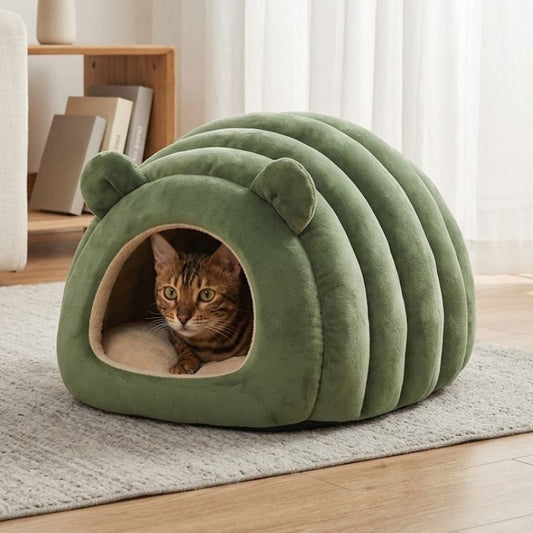 cabane pour chat vernol vert dans le salon