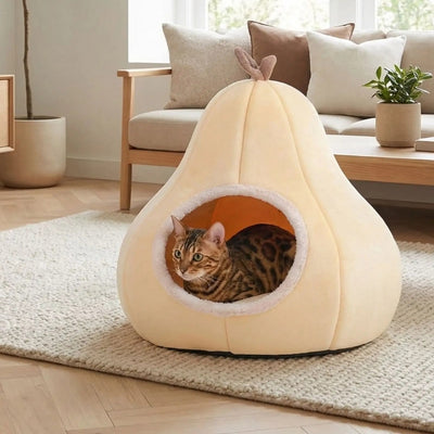 cabanes pour chats orangé avec chat