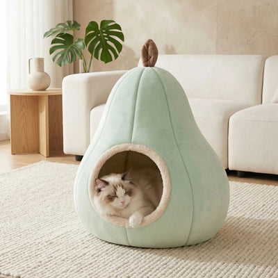 cabanes pour chats vert avec chat