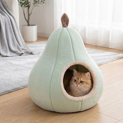 cabanes pour chats vert