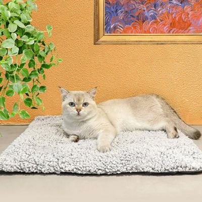 chat au chaud sur son tapis chat chaupy autochauffant