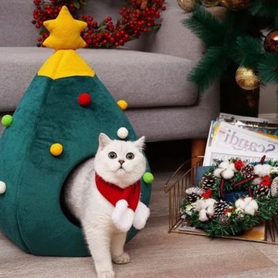 chat dans maisonnette chats nolito ressemblant arbre de noel