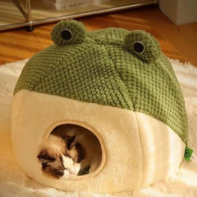 chat-dormant-dans-maisonnette-pour-chat-design-grenouille