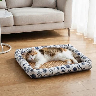 chat dort dans son tapis rafraichissant chat félime