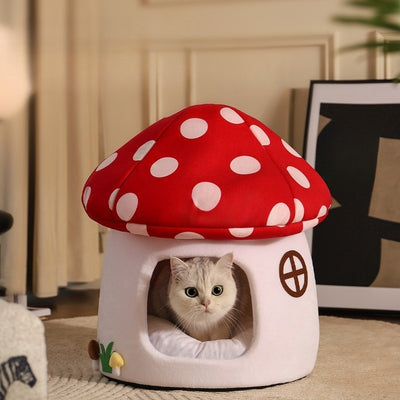 chat niche chamrou avec chat dedans surveillant