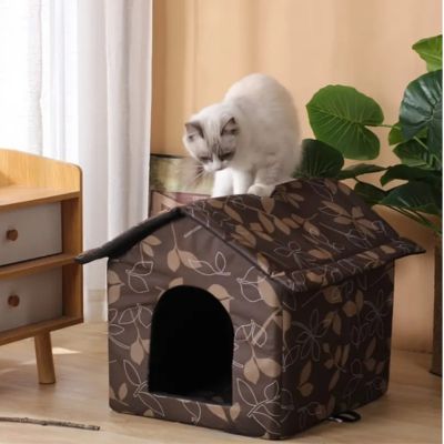 variante-feuillage-de-notre-chat-niche-avec-chat-dessus-et-dans-un-appartement
