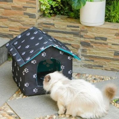 variante-empreinte-patte-de-notre-chat-niche-avec-chat-devant-et-devant-maison