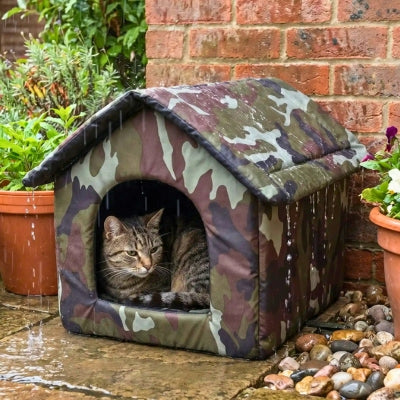 chat niche nimili sous la pluie