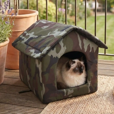 chat niche nimili sur balcon