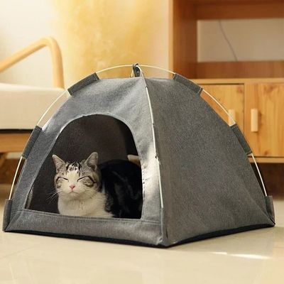 chat qui veille dans niche à chat stoupi gris