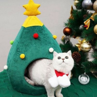 chat sort de sa maisonnette chats nolito arbre de noel