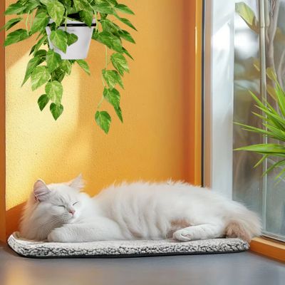 chat sur son tapis chat chaupy autochauffant