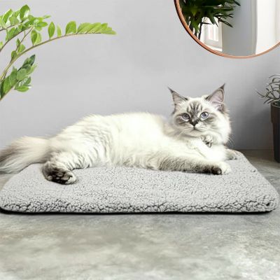 chat tranquille sur son tapis chat chaupy autochauffant
