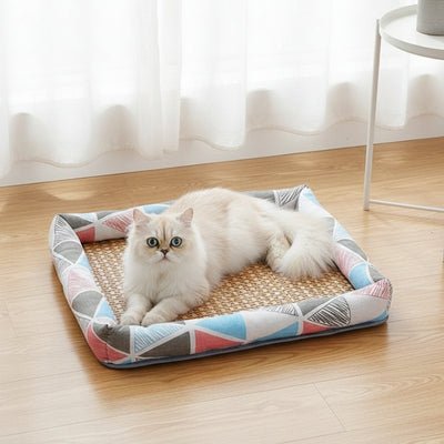 chat veille dans son tapis rafraichissant chat félime