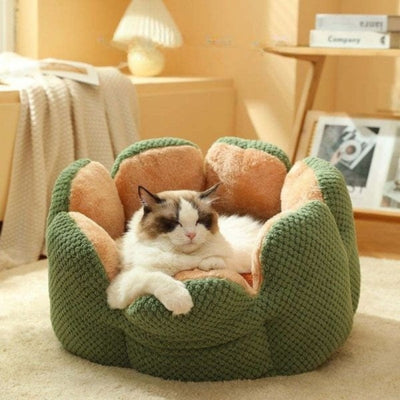chaton-panier-frisom-variante-vert