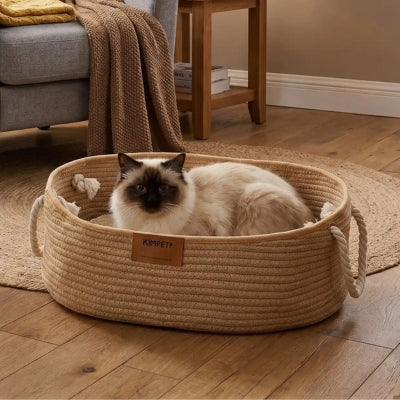 corbeille pour chat finizi dans salon avec chat