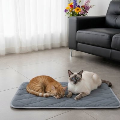 couchage pour chat suncho grande taille