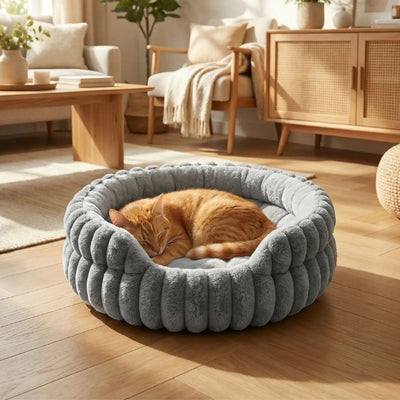 couffin chat mouska avec chat roux