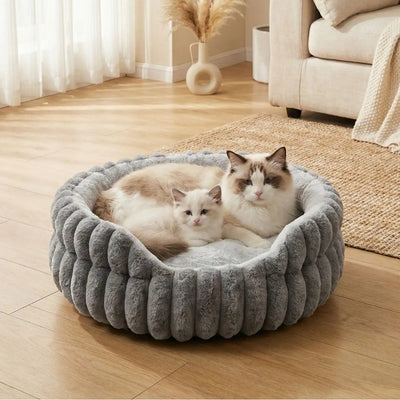 couffin chat mouska avec chatte et chaton